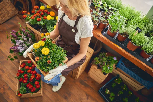 Tahta bir sandıkta oturan mutlu bayan.