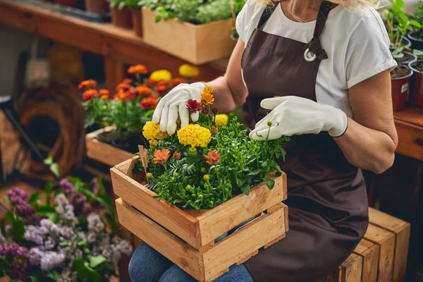 Mulher botânica sentada em um viveiro de plantas — Fotografia de Stock