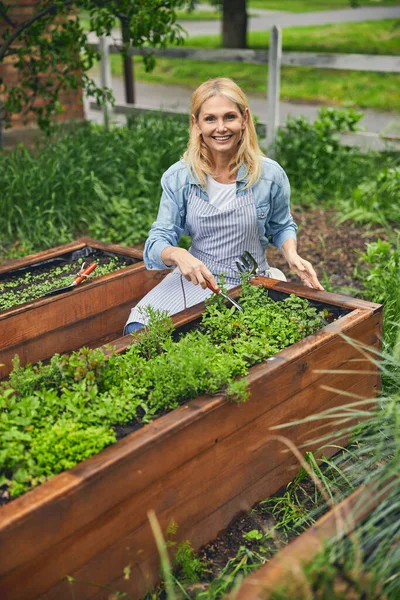 Mujer de mediana edad sonriente usando una herramienta de jardín — Foto de Stock