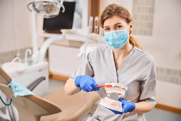 Techique di pulizia dei denti dimostrato dal dentista in clinica — Foto Stock