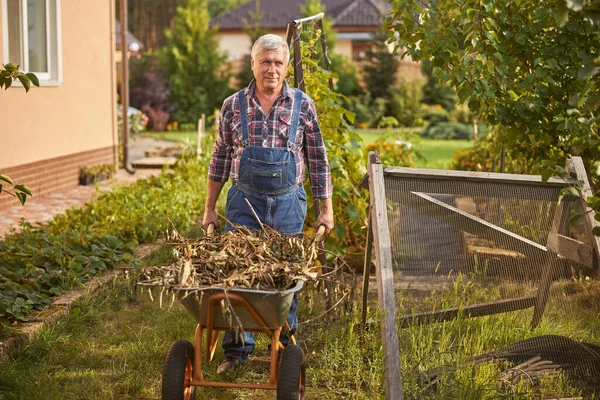 Senior man being busy disposing of dry garden weeds Royalty Free Stock Images
