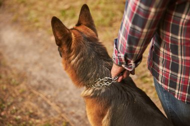 Adam, Alman çoban köpeğini yakasından yakaladı.
