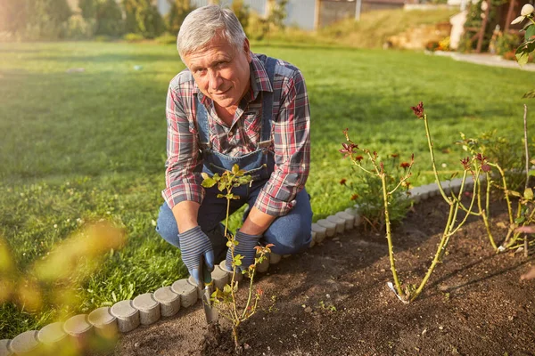 Hombre envejecido alegre cavando en su jardín — Foto de Stock