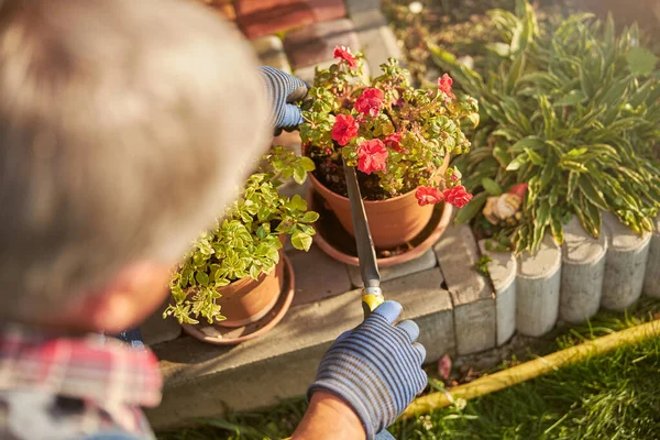 Jardinero sosteniendo una paleta cerca de una olla con flores — Foto de Stock