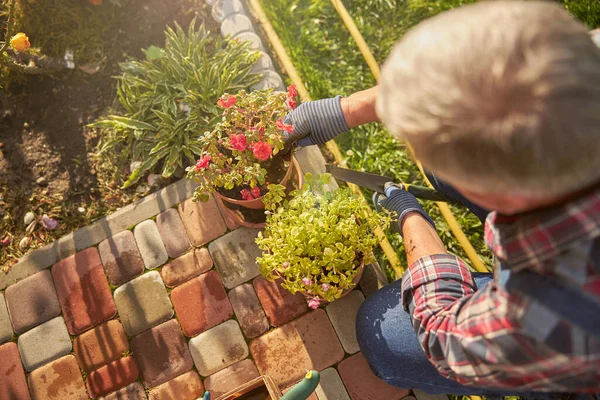 Entusiasta jardinero cuidando plantas en maceta — Foto de Stock