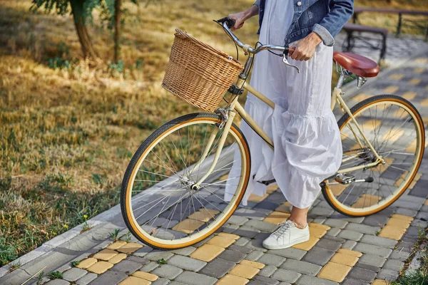 도시 자전거에서 바구니를 들고 있는 세련 된 여자 — 스톡 사진