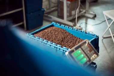 Kavrulmuş kahve çekirdekli mavi depo kasası.