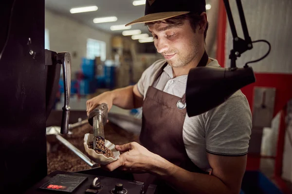 Hermoso trabajador masculino comprobar la calidad de los granos de café — Foto de Stock