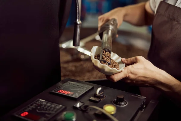 Hombre trabajador comprobar la calidad de granos de café —  Fotos de Stock