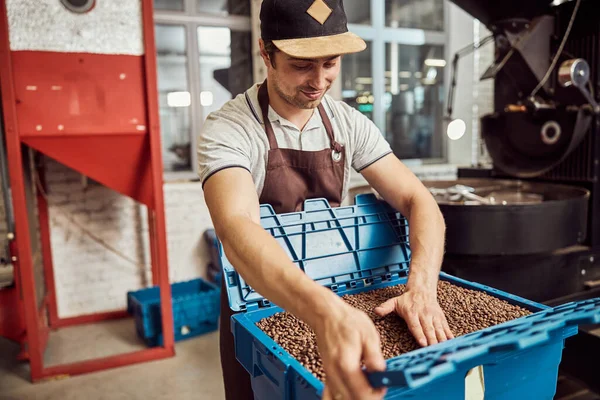 Hermoso trabajador masculino tocando granos de café en caja de plástico — Foto de Stock