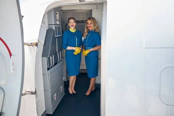 穿着西服的漂亮女性在飞机上的照相相机前摆姿势 — 图库照片