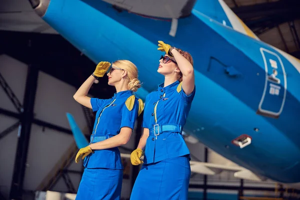 Mulheres bonitas aeromoças em azul respectivo uniforme e luvas de couro em pé na frente em grande avião de passageiros — Fotografia de Stock