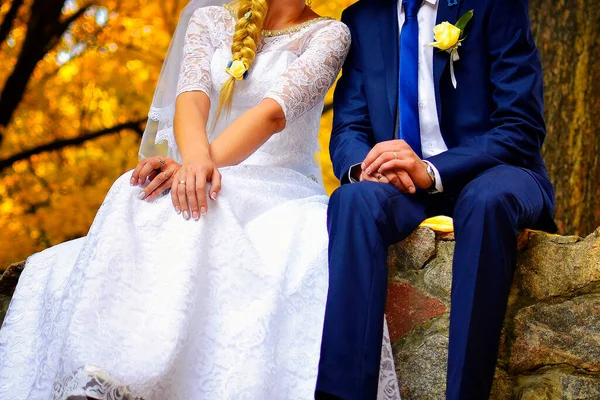 Newlyweds Wedding Dress Sit Stone Wall Autumn Park — Stock Photo, Image