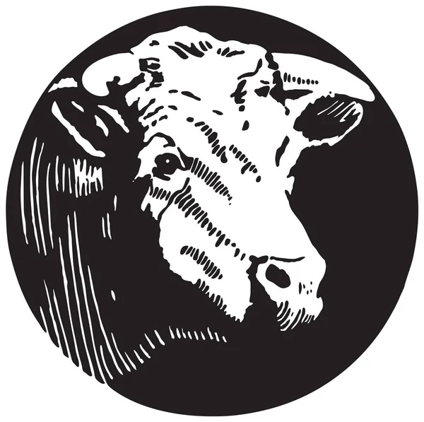 Kráva 4 — Stockový vektor
