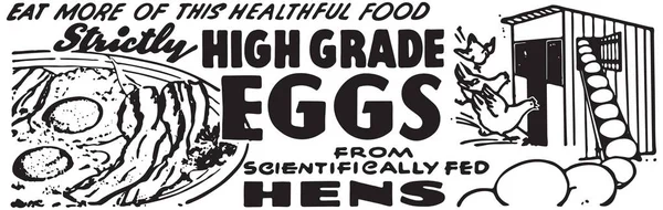 High Grade Eggs — Stock Vector