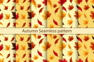 Sonbahar pürüzsüz desen koleksiyonu