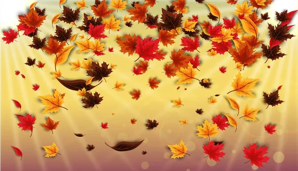 Φθινόπωρο Φόντο Πεσμένα Φύλλα — Διανυσματικό Αρχείο