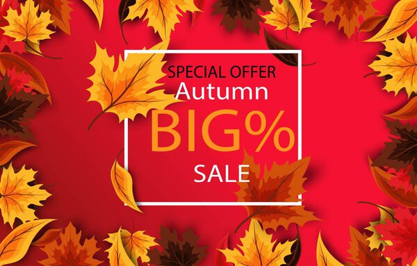 Autumn sale background layout, decorate with leaves for shopping sales or promo posters and frame flyers or web banners.Vector illustration templates, newest, white, orange red