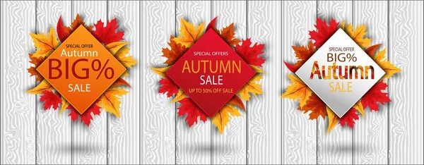 Set Bündel Herbstverkauf Banner Mit Bunten Und Vogelbeeren Saisonalen Herbstblättern — Stockvektor