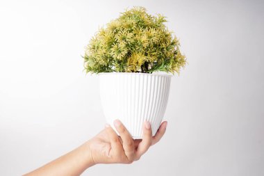 Bir çift el, beyaz arka planda yeşil çiçekleri tutuyor.