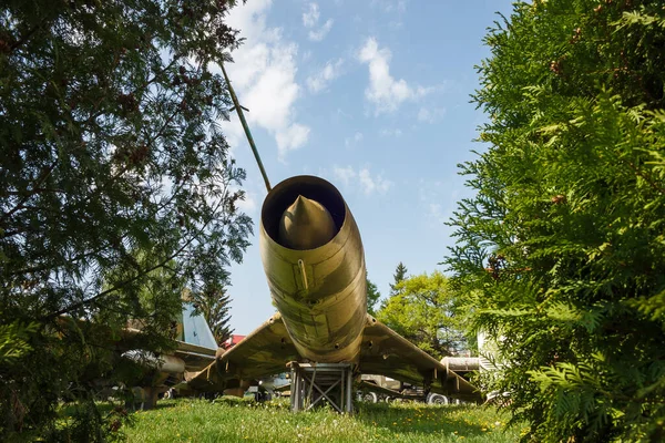 Egy Régi Vadászgép Törzsének Töredéke Növények Között — Stock Fotó