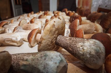 Masaya bırakılmış mantarlar buldum..