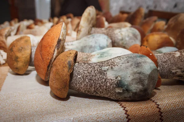 Trouvés Champignons Posés Sur Table — Photo