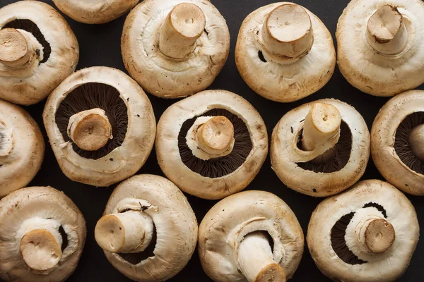 Champignons Mit Pilzen Auf Dunklem Hintergrund Nahaufnahme Blick Von Oben — Stockfoto