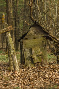 Yaşlı arı kovanı. Yakın plan..