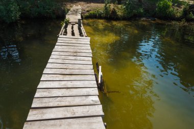Suyun arka planında eski bir ahşap iskelenin parçası..