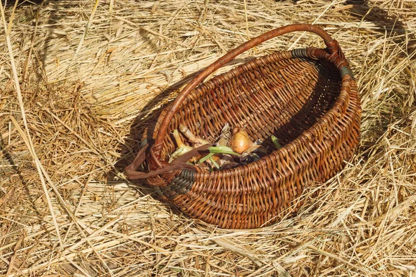 Wicker Basket Straw Background — Stock Photo, Image