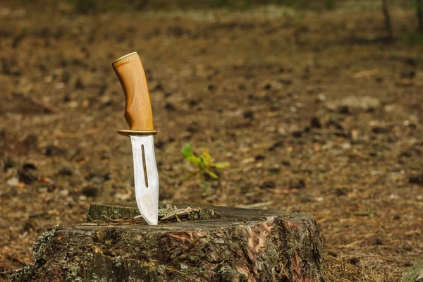 Pisau Pemburu Dengan Gagang Kayu Tersangkut Tunggul — Stok Foto