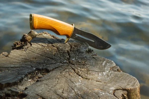 Suyun arka planına saplanmış tahta saplı avcı bıçağı.