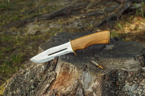 Av bıçağı ve fişek 5.45 ormandaki bir kütüğe konur. Açık havada av malzemeleriyle dolu bir hayat. Yakın plan..