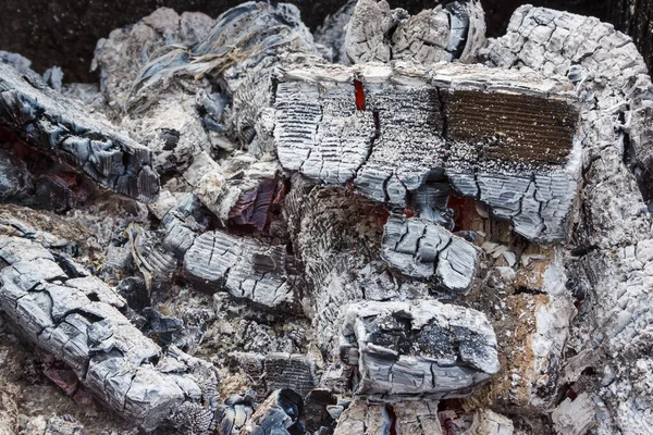 Scorched wood, coal and ash from grill. Close-up. Background