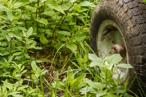 Wiel Van Een Tuinkruiwagen Behoort Tot Het Groen Kopieerruimte — Stockfoto