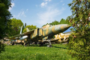 Bitkilerin arasında eski bir jet uçağı. Terk edilmiş askeri teçhizat parkı
