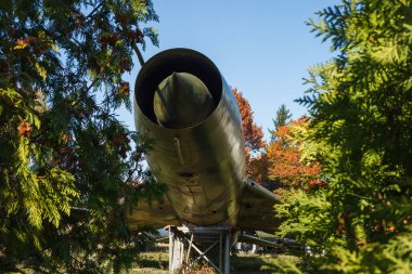 Bitkilerin arasında eski Sovyet savaş jeti