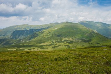 Dağ manzarası. Yeşil çayırları ve kozalaklı ormanları olan dağların manzarası güzel bulutların arka planında 