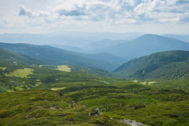 Dağ manzarası. Yeşil çayırları ve kozalaklı ormanları olan dağların manzarası güzel bulutların arka planında 