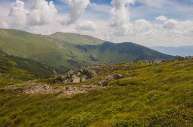 Dağ manzarası. Yeşil çayırları ve kozalaklı ormanları olan dağların manzarası güzel bulutların arka planında 