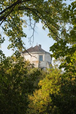 Lviv bölgesinde bir kale. Rönesans Kalesi bitkiler tarafından çerçevelenir