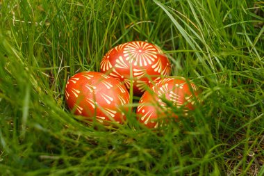 Ukrayna boyalı kırmızı renkli paskalya yumurtaları çimenlerin üzerinde yatar. Yakın plan.