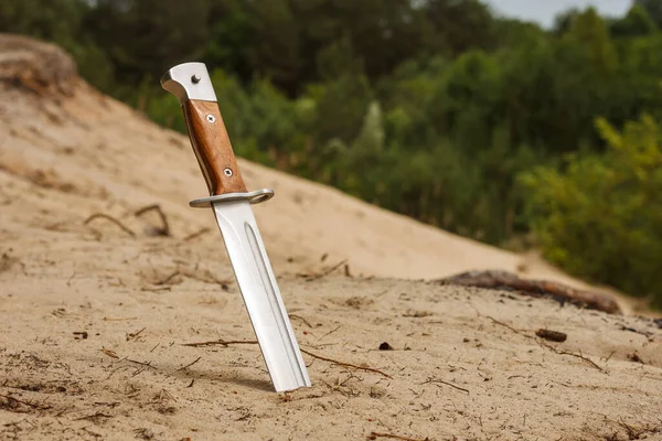 Coltello Cacciatore Con Manico Legno Infilato Nella Sabbia — Foto Stock