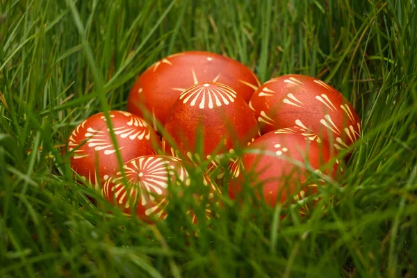 Ukrainian Painted Easter Eggs Red Color Lie Grass Close — Stock Photo, Image