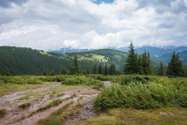 Dağ manzarası. Dağ patikaları ve yağmur üstüne orman. 