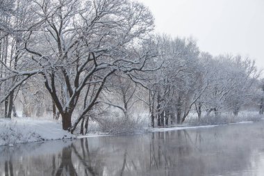 Karla kaplı kıyıları ve ağaçları olan kış nehri. Kış manzarası