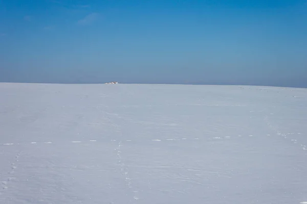 Schneewüste Winter Minimalistische Landschaft Mit Bäumen Hintergrund — Stockfoto