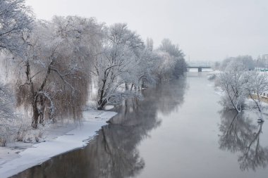 Karla kaplı kıyıları ve ağaçları olan kış nehri. Kış manzarası