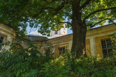 Olyka Şatosu. Terk edilmiş saray. Ukraynaca